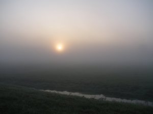 mist-en-zon